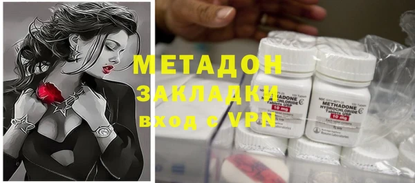 индика Алзамай