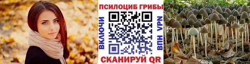 Галлюциногенные грибы Psilocybine cubensis  Неман 